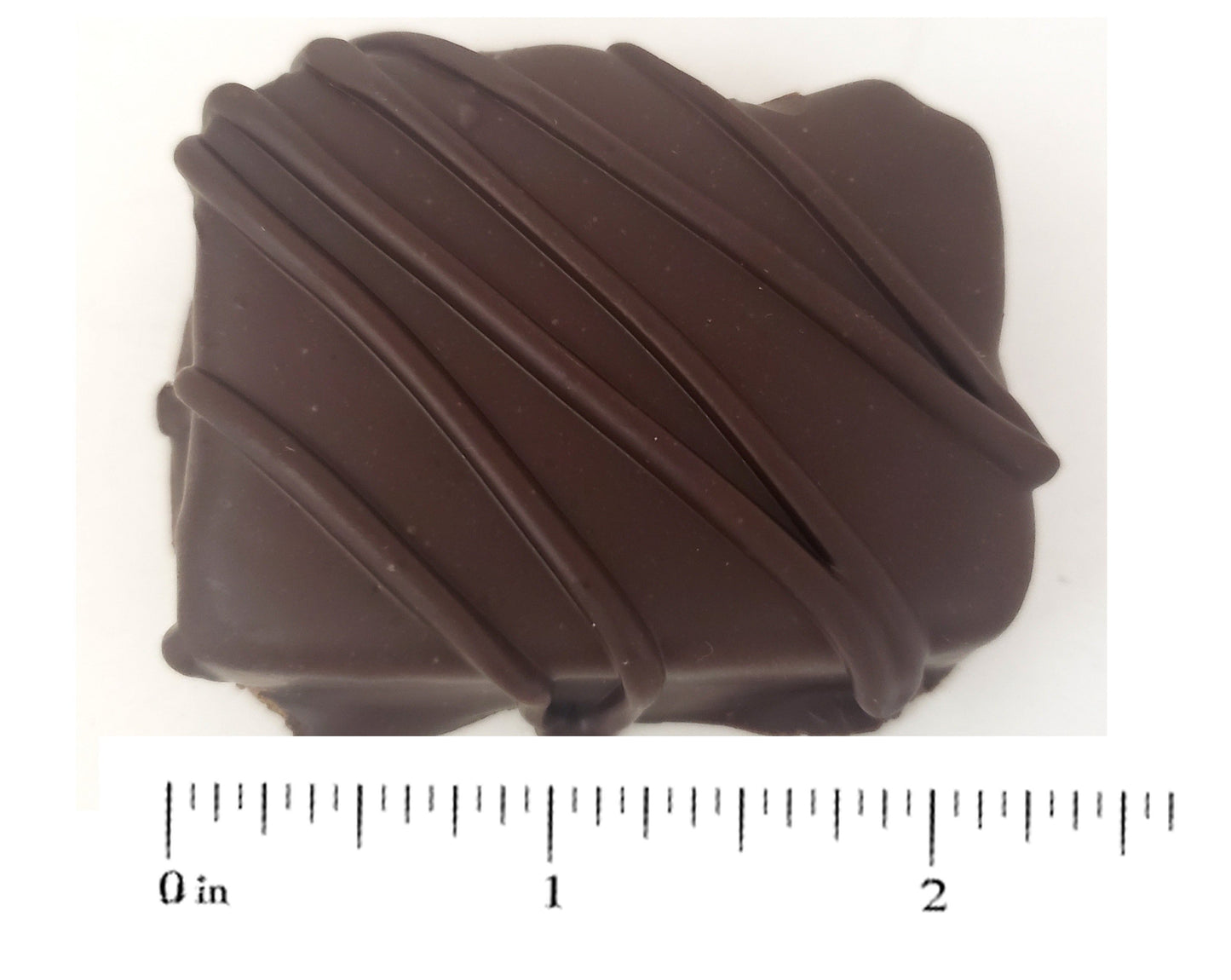 Dark Chocolate Covered Fruitcake Slices - JaneParker.com
