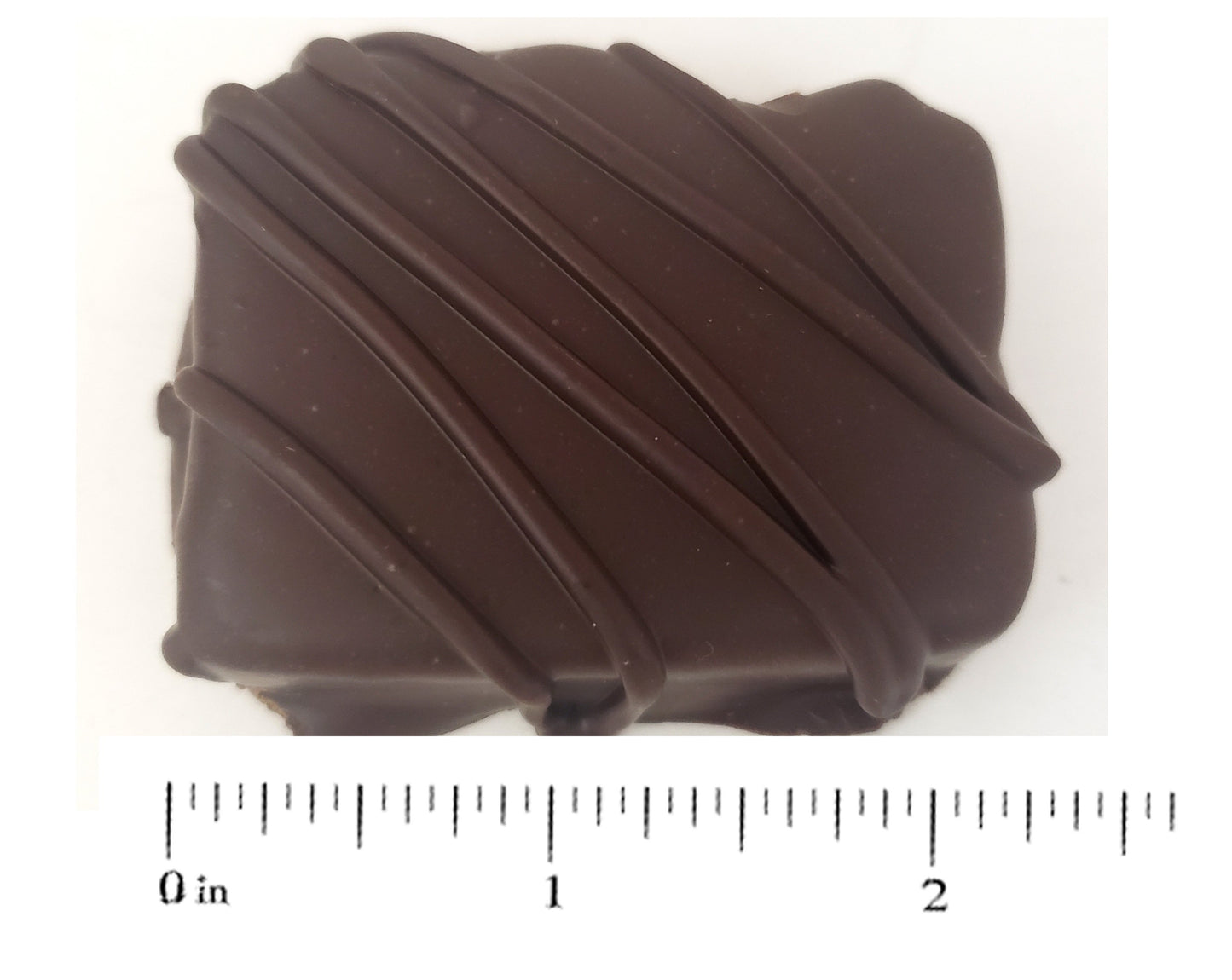 Dark Chocolate Covered Fruitcake Slices - JaneParker.com
